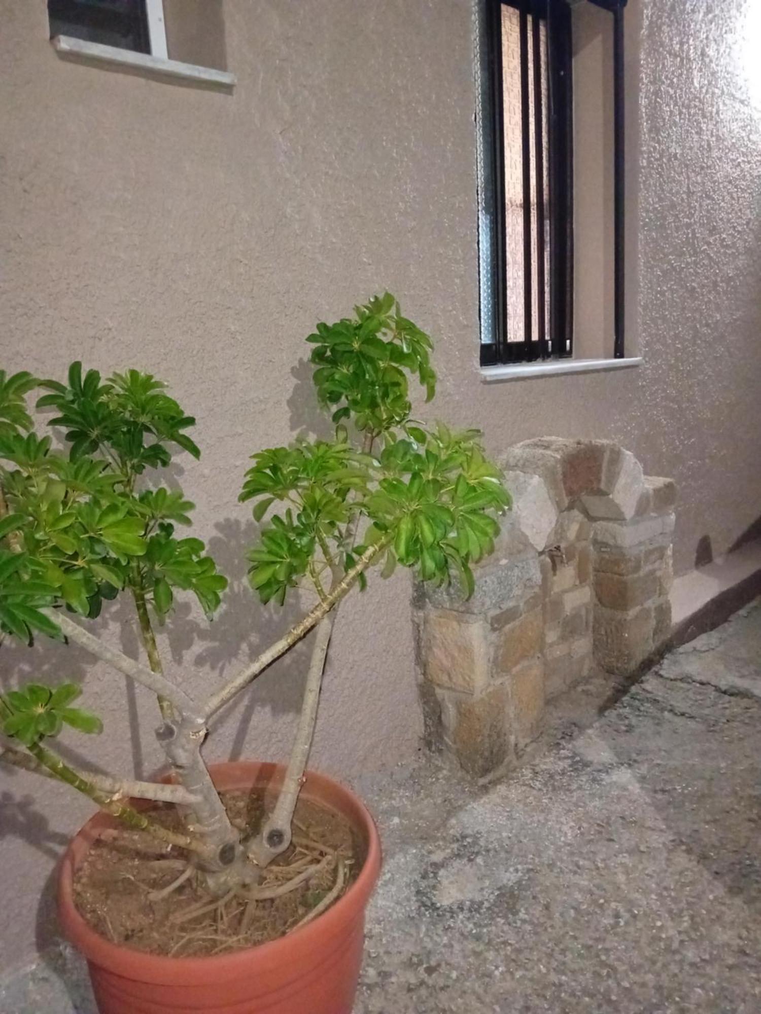 Вилла Casa Artemis Platanos  Экстерьер фото